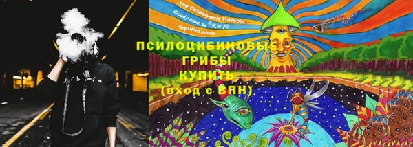 шишки Горняк