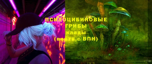 СК Балахна
