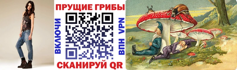 где продают наркотики  Спасск-Дальний  MEGA рабочий сайт  Псилоцибиновые грибы прущие грибы 
