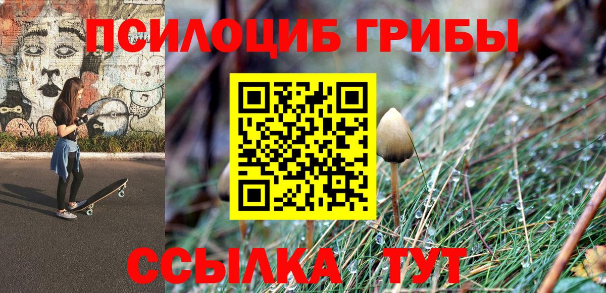 хочу   Псилоцибиновые грибы Cubensis  Спасск-Дальний  Вход с VPN  Галлюциногенные грибы мицелий 